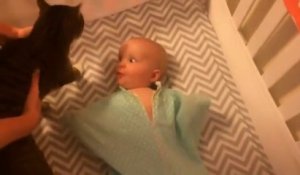 Ce bébé est surexcité à l'idée de partager son lit avec un chat