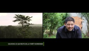 L'INSTANT ECOLO AVEC OUALAS - Sauvons ce qui reste de la forêt ivoirienne