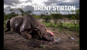 Brent Stirton, le photojournaliste en guerre contre l'extinction des animaux d'Afrique