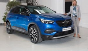 A bord de l'Opel Grandland X (2017)