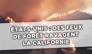 Californie: 5.000 pompiers combattent d'énormes feux de forêt