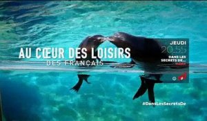 "Dans les secrets des loisirs des Français" présenté par Malika Ménard sur NRJ12