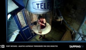 Agathe Auproux terrorisée par des insectes dans Fort Boyard ! (Vidéo)