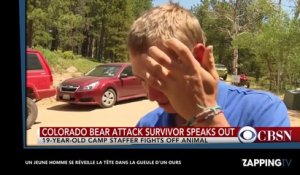 Un jeune homme se réveille la tête dans la gueule d'un ours, la vidéo terrifiante