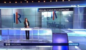 Élection Les Républicains : qui sont les candidats à la présidence ?