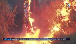 Alpes-Maritimes : l'incendie de Castagniers sous contrôle