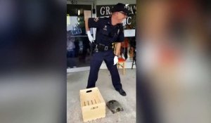 Ce policier galère pour attraper une tortue