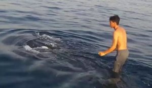 Un pêcheur marche sur le dos d'une baleine (Golfe persique)