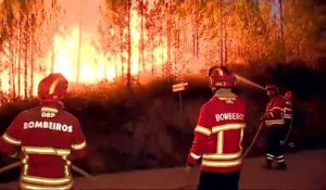 Les feux de forêt reprennent au Portugal