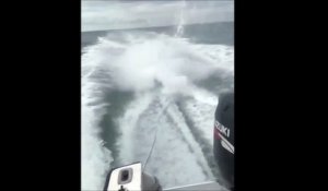 Révoltant : un pêcheur tire un requin vivant derrière son bateau à toute vitesse
