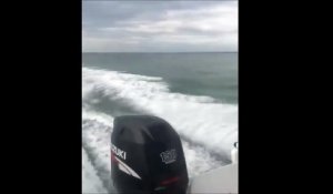 Les internautes outrés par cette vidéo de barbares qui traînent un requin vivant derrière leur bateau