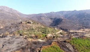 Olmeta di Tuda : paysages lunaires après les incendies
