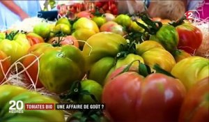 Agriculture : d'où viennent les tomates bio vendues en France ?