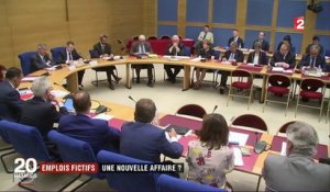 Michel Mercier : une nouvelle affaire d'emploi familial fictif ?