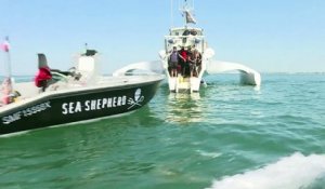 L'ONG Sea Shepherd reprend sa chasse aux filets "fantômes"