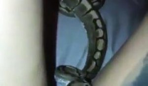 Cette fille a cru qu'il serait mignon de montrer son serpent sur Instagram !