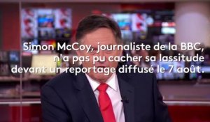 Difficile de remplir les JT de l'été : la consternation d'un présentateur anglais face à des chiens qui surfent