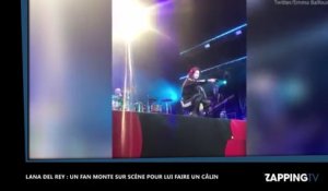 Lana Del Rey : Un fan monte sur scène pour lui faire un câlin (Vidéo)