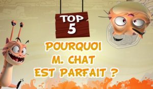 TOP 5 KAELOO Pourquoi M.Chat est parfait (dessin animé TéléTOON+)