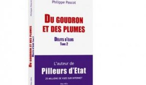 Philippe Pascot sur la Loi de moralisation: «les élus peuvent toujours autant truander»