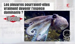 Revue de presse du 15/08