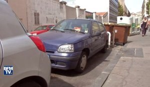 À Marseille, les rats s’en prennent aux voitures