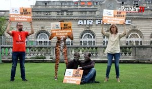 Défense des animaux : One Voice manifeste contre Air France