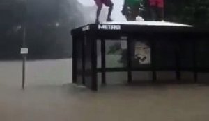 Etats-Unis : Ils dansent sur un abribus pendant les inondations ! LOL