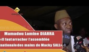 Mamadou Lamine Diallo: "Il faut arracher l'Assemblée Nationale des mains de Macky Sall"