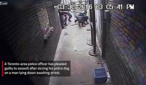 Un policier de Toronto lâche son chien sur un homme qui se rendait