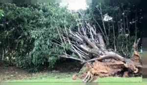 Irma : les explications d'un climatologue