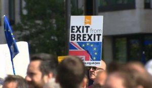 Manifestation anti-Brexit à Londres