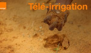 Télé-irrigation - Start-Up Stories