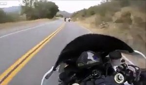 Ce biker en Harley-Davidson prend tout les risques pour distancer un autre motard...