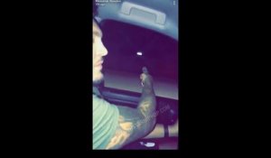 Un couple tire sur des maisons au hasard pour mettre la vidéo sur Snapchat