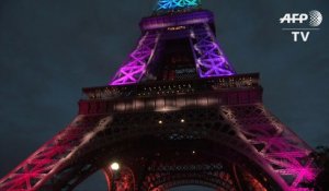La tour Eiffel fête ses 300 millions de visiteurs