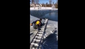 Il sauve in extremis un chien tombé dans un étang gelé
