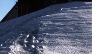 Un homme tombe sur un obstacle pendant sa descente en luge