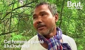 En Inde, une forêt plus grande que Central Park plantée par un seul homme