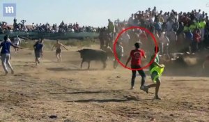 TERRIBLE : un homme violemment attaqué par un taureau lors d’un festival.
