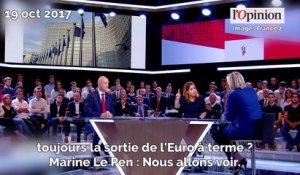 Sortie de l'Euro: gênée, Marine Le Pen répond de manière très floue