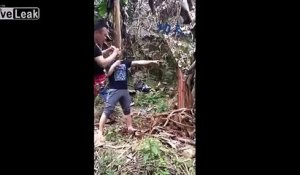 Détruire un arbre à coups de jambe ? Facile pour ce maître d'arts martiaux !