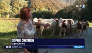 Haute-Savoie : une plainte contre des agriculteurs fait le buzz