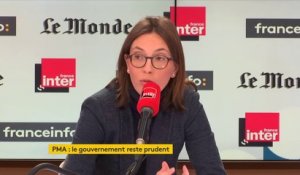Amélie de Montchalin sur la PMA : "Vous avez des détails - qui ne sont pas des détails ! - à organiser"