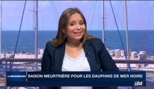 Saison meurtrière pour les dauphins de la Mer Noire