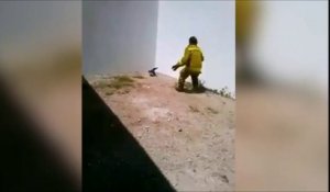 Cet ouvrier tente d'aider un chat coincé mais c'est une grosse galère en fait...
