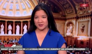 Audition de Jean-Yves Le Drian sur le budget 2018 - Les matins du Sénat (25/10/2017)