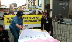 L'UE doit "sortir du lit de Monsanto" pour les anti-glyphosate