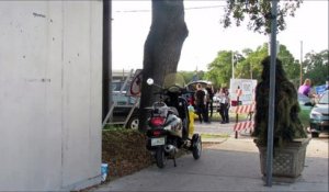 Déguisé en buisson, il fout une frousse phénoménale aux passants