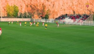 N2 : AS Monaco 2-0 Toulon